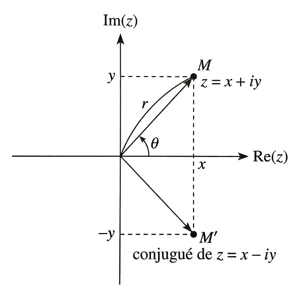 Représentation de M(z) et M'(z barre)