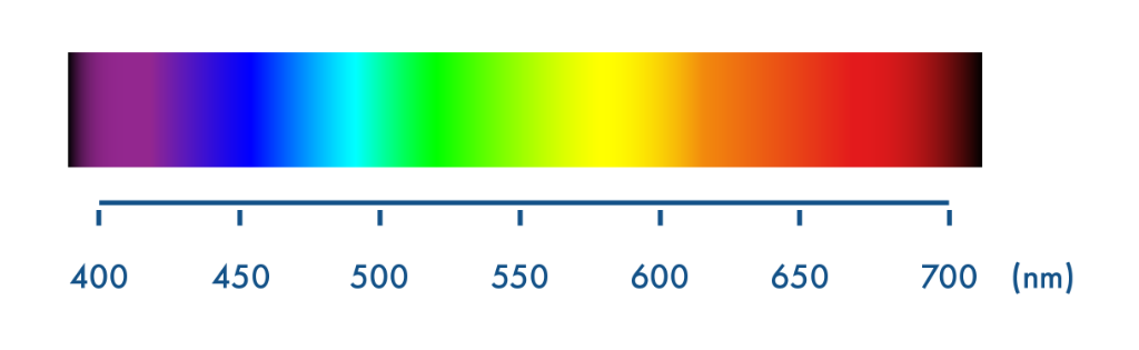 Spectre de la lumière visible